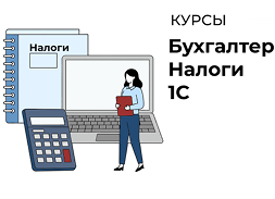 vizual kurs buhgalter